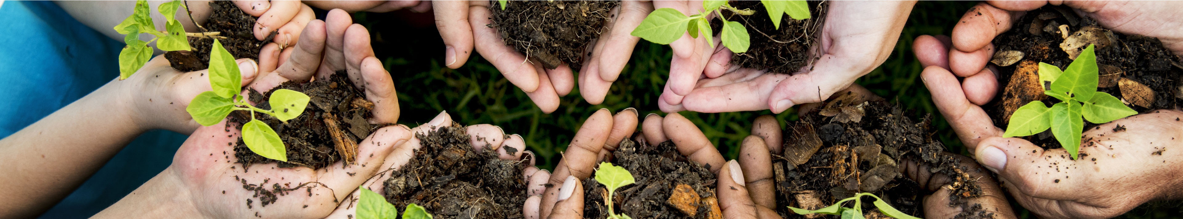 Sürdürülebilir Tarım Nedir?