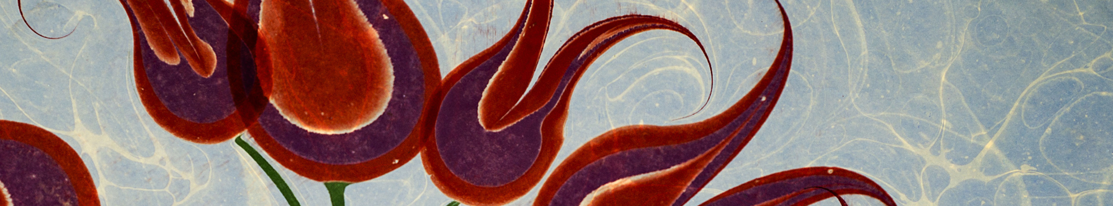 Sanata Zarif Bir Dokunuş: Ebru