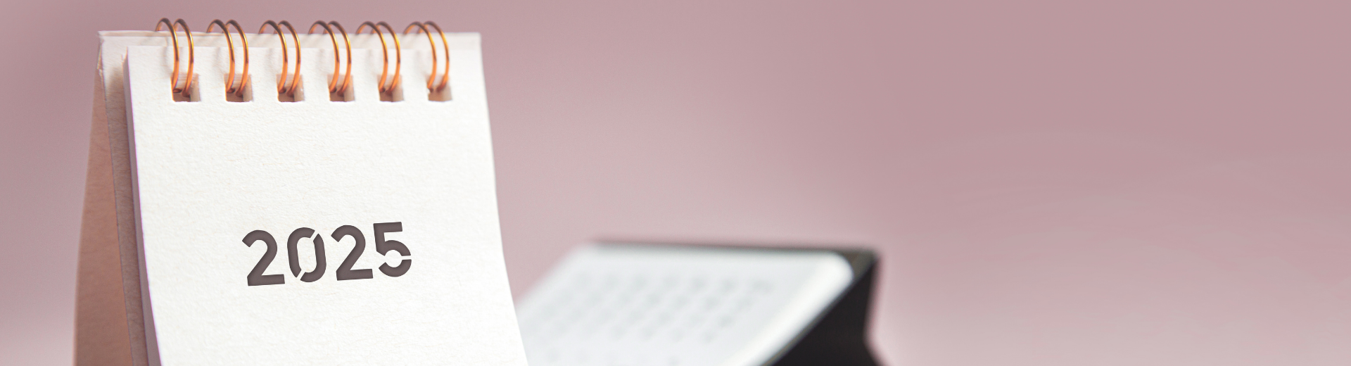 2025 Yılı Resmî Tatilleri