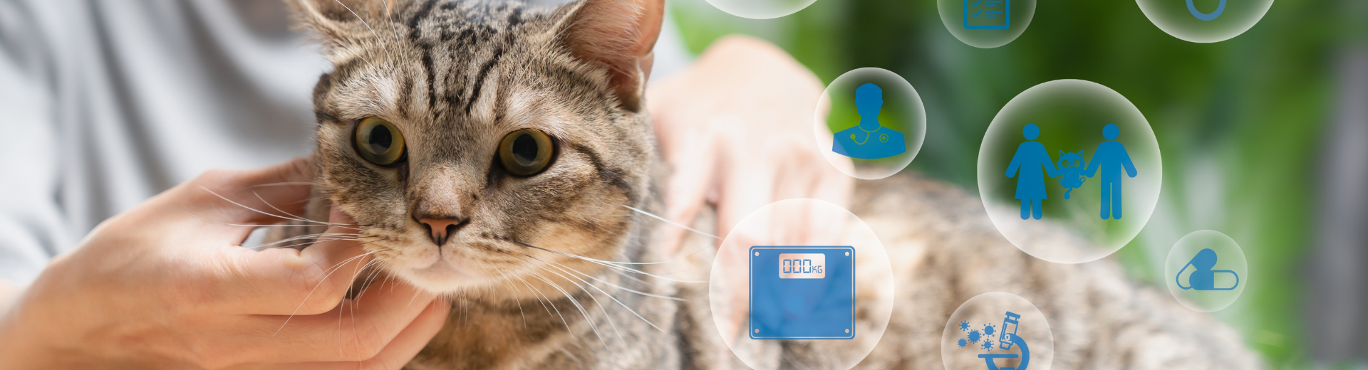 Teknolojinin Veterinerlikteki Rolü ve Geleceği