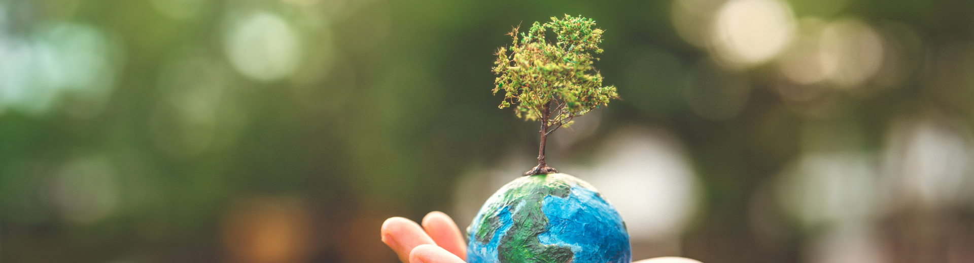 Dünya Günü: Sürdürülebilirlik ve Yeşil Finansın Geleceği