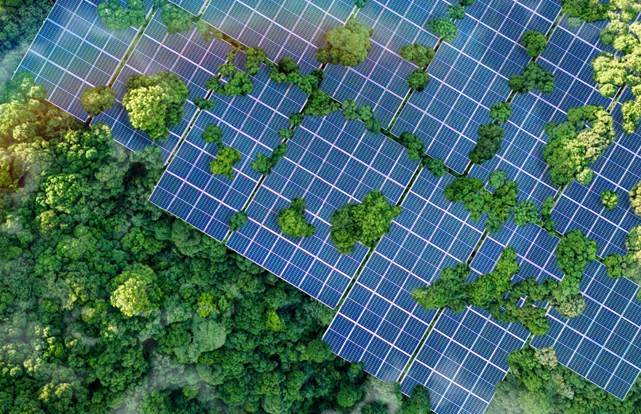 Ormanlık alandaki güneş enerjisi panellerinin havadan görünümü