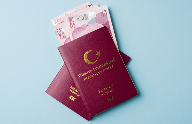 türk pasaportu içindeki tl banknotları