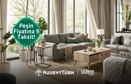 gri mobilyalar ve orta sehpanın olduğu bir oturma odası 