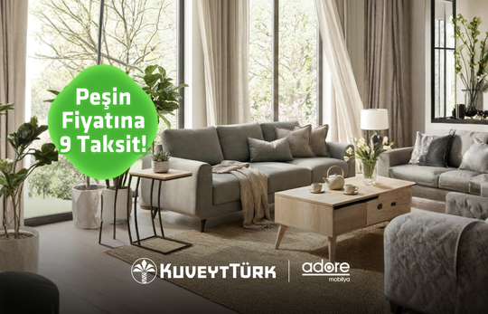 gri mobilyalar ve orta sehpanın olduğu bir oturma odası 