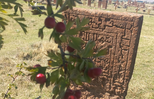 Tarihimizin Nabzı Ahlat