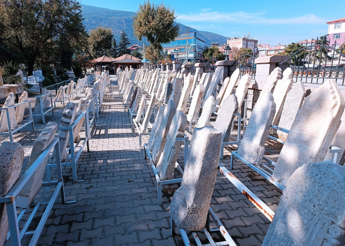Selçuklu Medeniyetinin Nabzı
