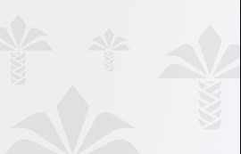 Ara Dönem Kâr Payı Ödemeli Hesaplar