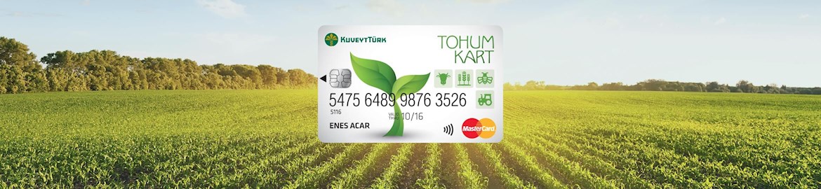 Tohum Card