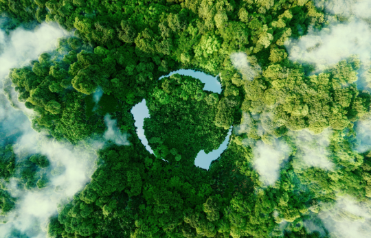 Forest view from the sky and sustainability logo