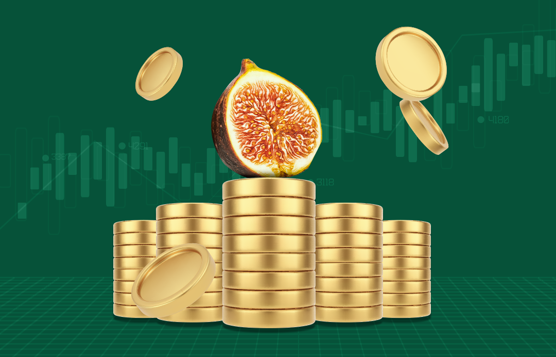 fig on coins