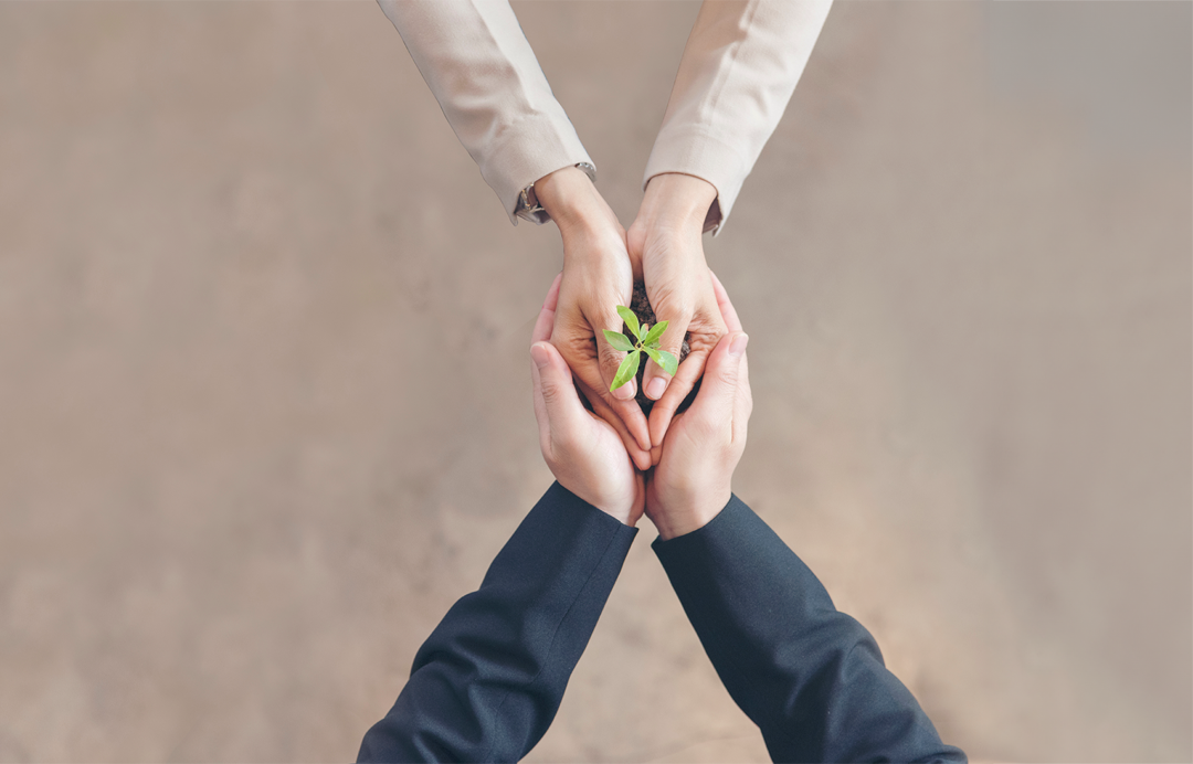 Two people holding hands palms clasped together each palm containing a sapling in the soil