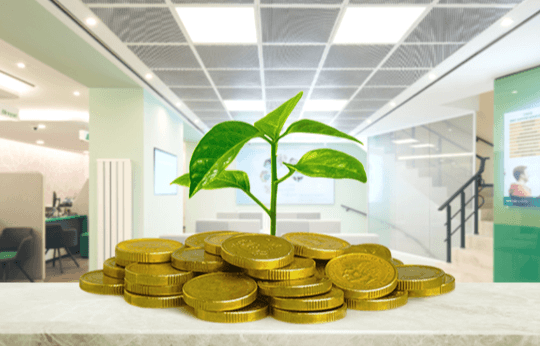 Green plant growing from a pile of gold coins indoors