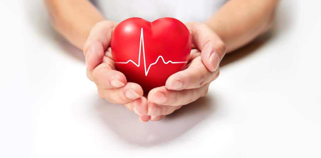 Hands holding a red heart with hearbeat line on white background