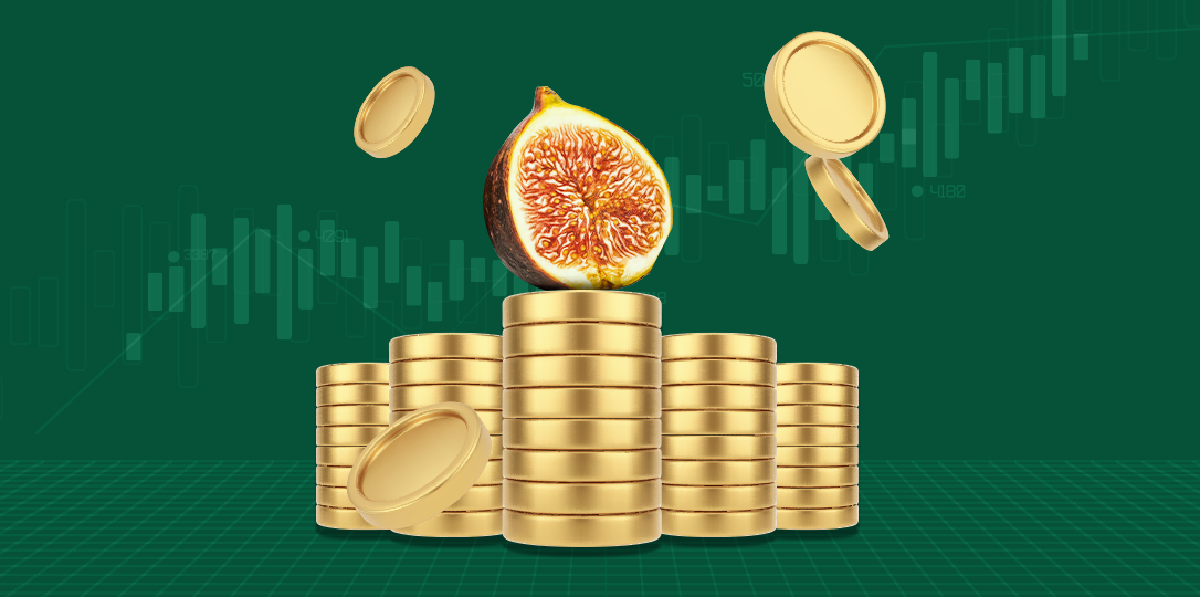fig on coins