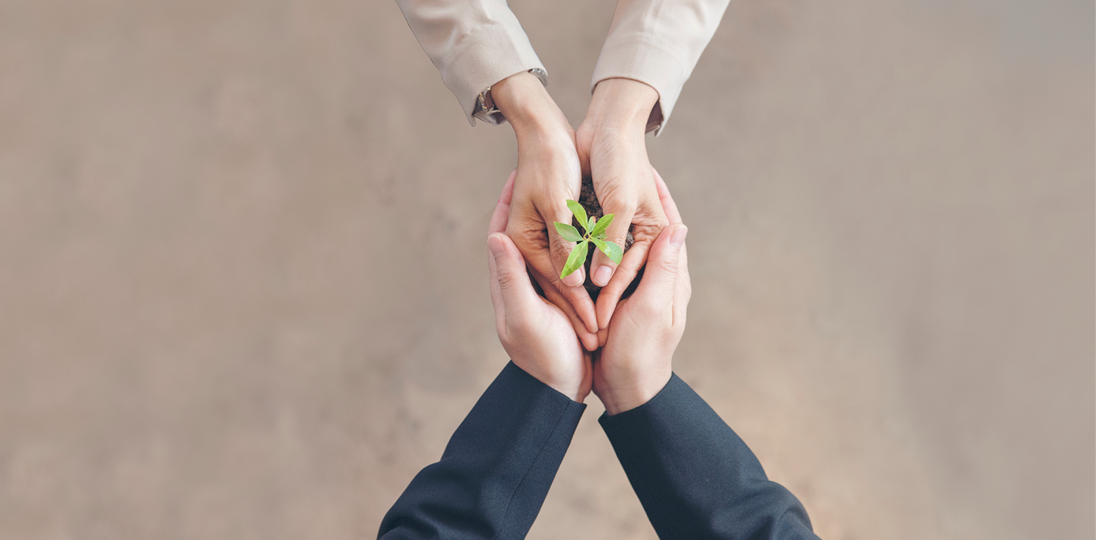 Two people holding hands palms clasped together each palm containing a sapling in the soil