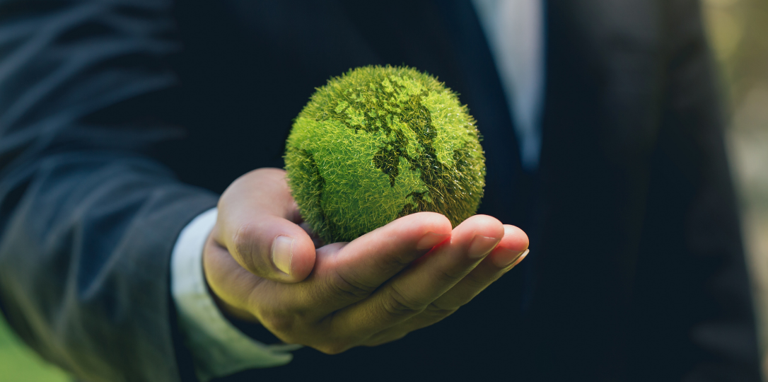 Business professional holding a green globe model 