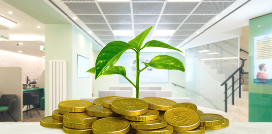 Green plant growing from a pile of gold coins indoors